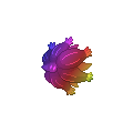 Rainbow Glimmora